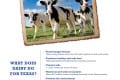 TAD 2015 National Dairy Month Ad