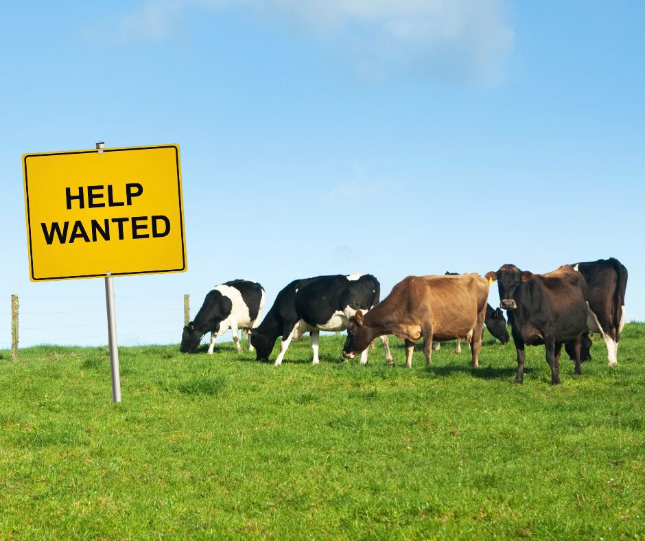 ‘Help Wanted’: Workers needed to keep Texas milk flowing