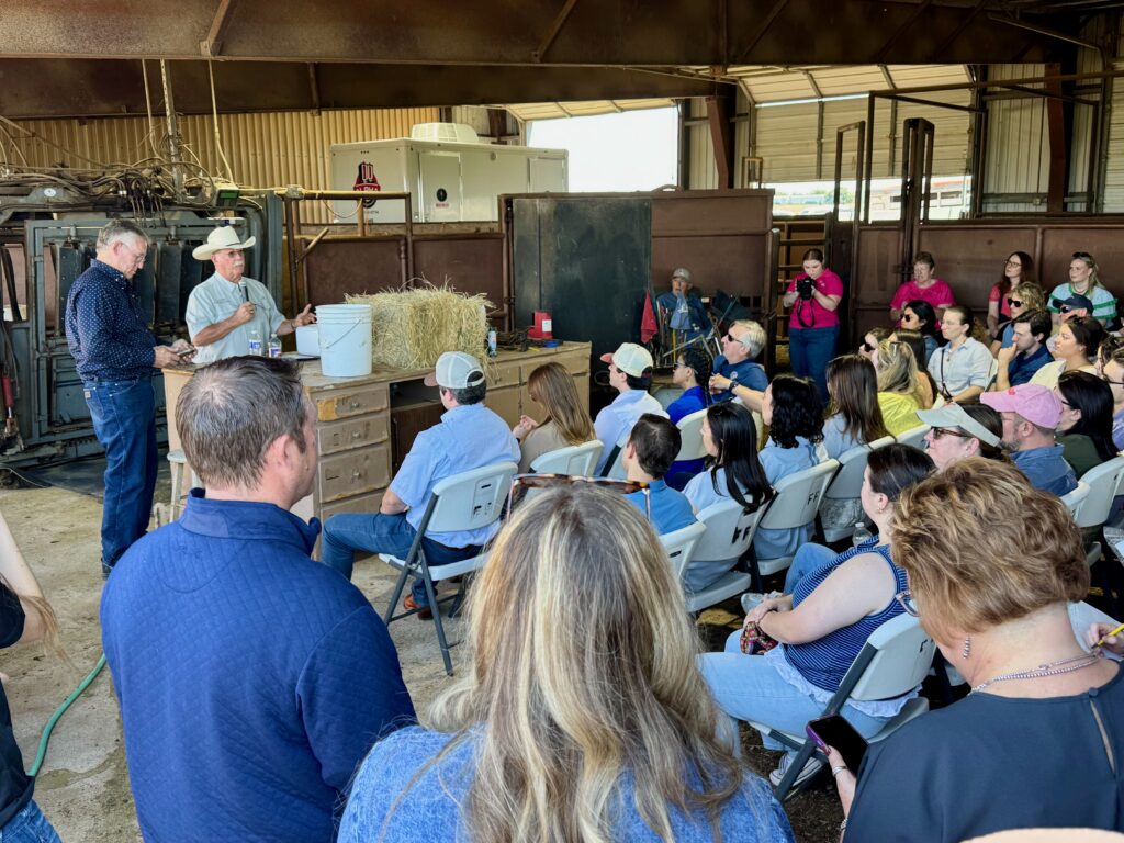 Around the Texas Capitol: Legislators learn about the New World screwworm while runoff elections loom